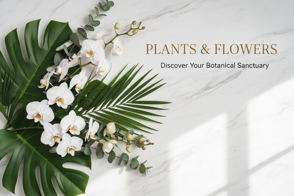 Plants & Flowers